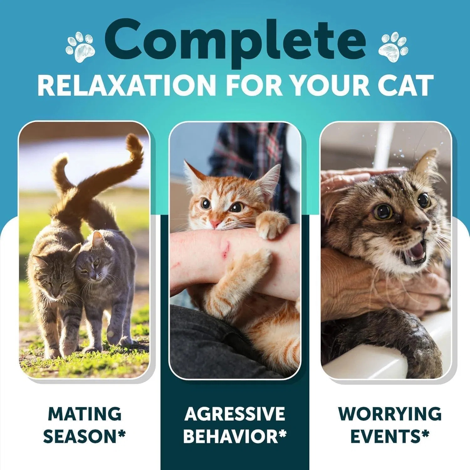 Hemp Cat Calming Treats For Stress & Anxiety Relief Cat Kittens Melatonin - Image 6