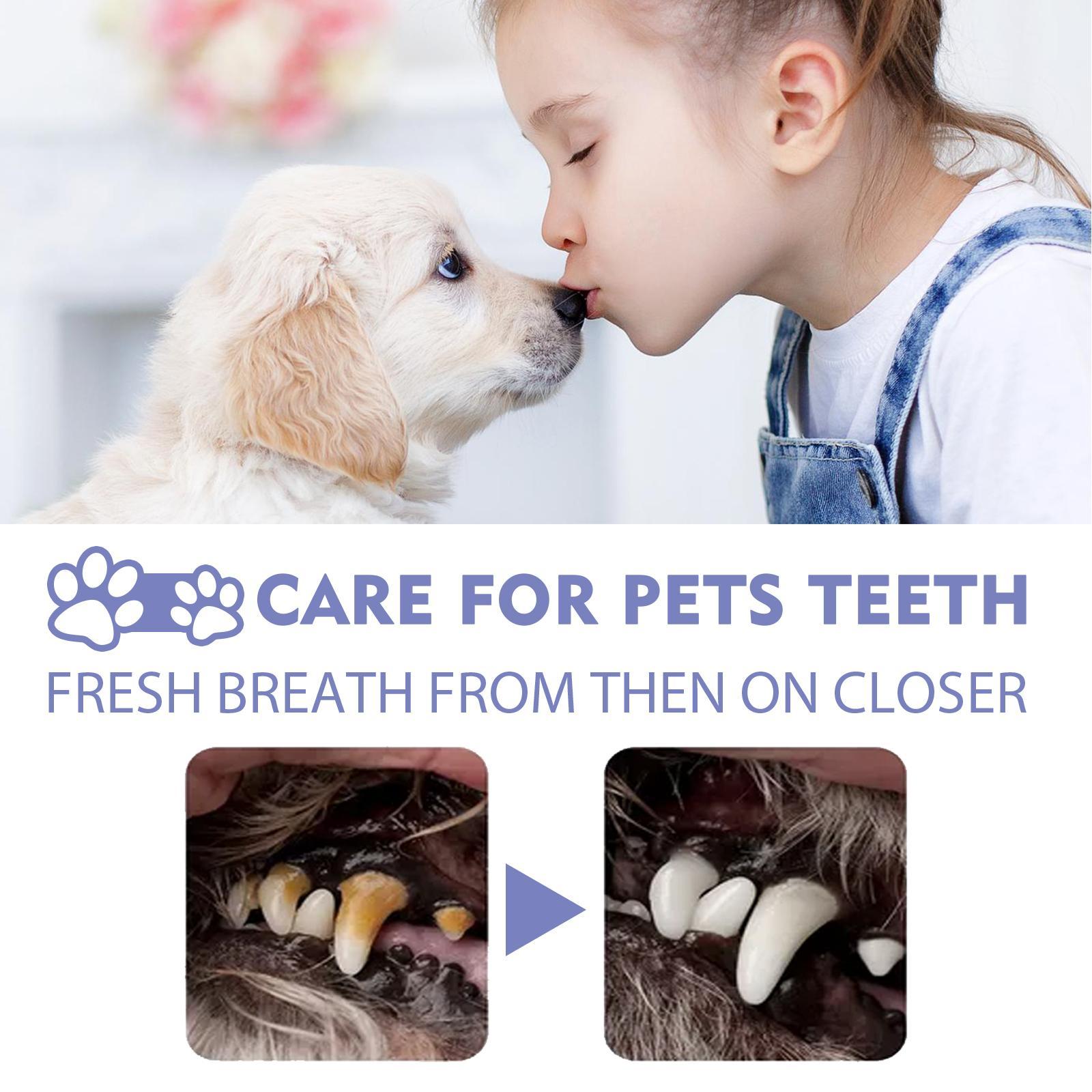 Yegebang Cat And Dog Teeth Cleaning Spray Pet Oral Cleaning Deodorizing Fresh Breath - Image 7